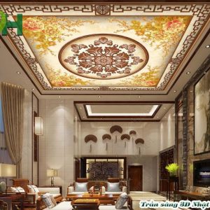 Trần 3D mẫu TS30