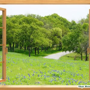 Tranh cửa sổ 3D TD3D193