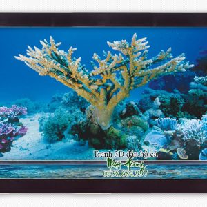 Tranh 3D bể cá 34