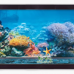 Tranh 3D bể cá 35