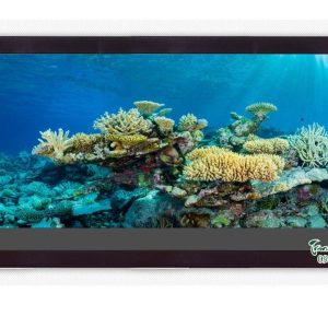 TRANH 3D DÁN HỒ CÁ