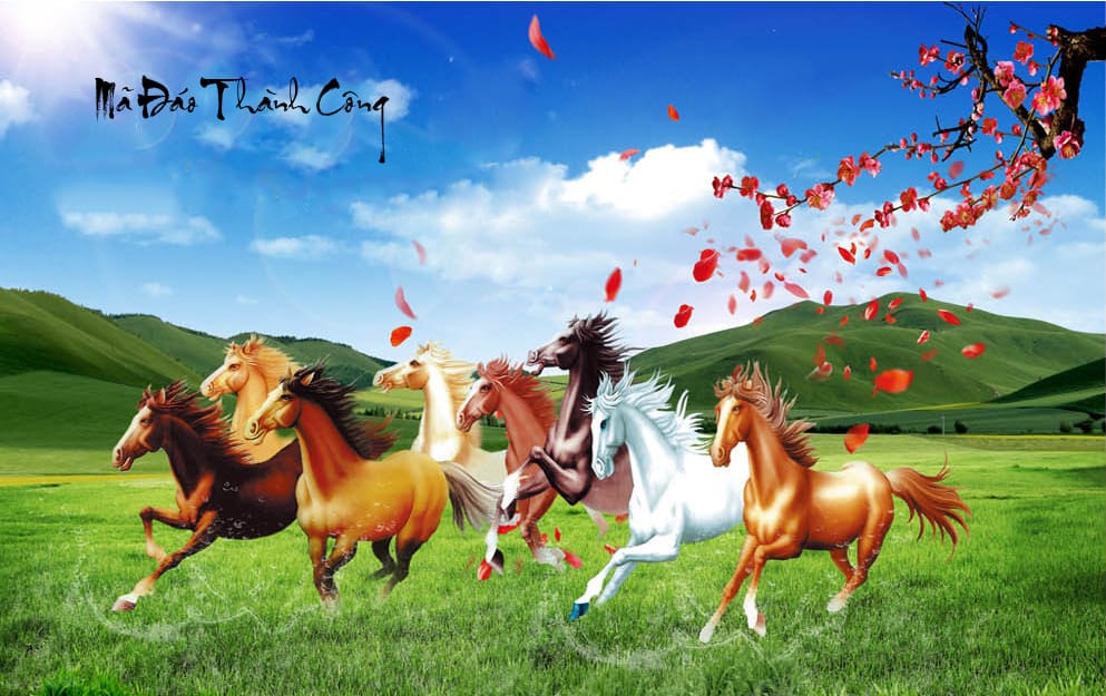 17465882 95d79e7db3f3659c4ba0554b2aff8a7d 0